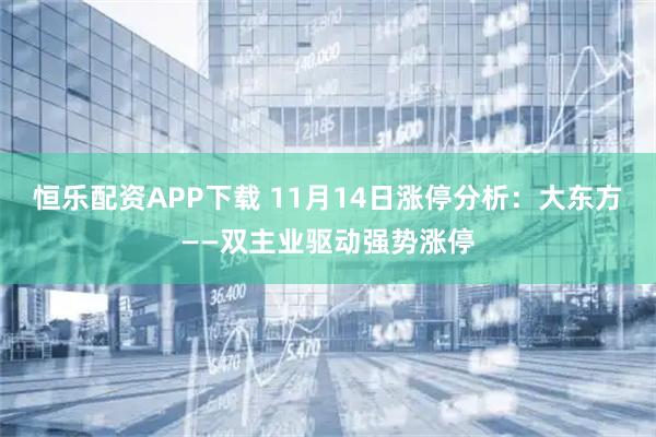 恒乐配资APP下载 11月14日涨停分析：大东方——双主业驱动强势涨停